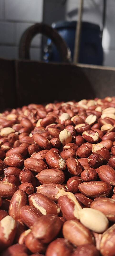 Yıldız Paket – 13 Çeşit 6,5 KG Kuruyemiş Paketi - 2